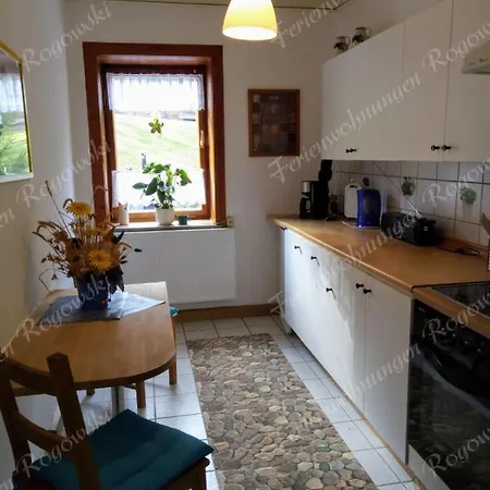 Ferienwohnung Rogowski Breitenbrunn  Exterior photo