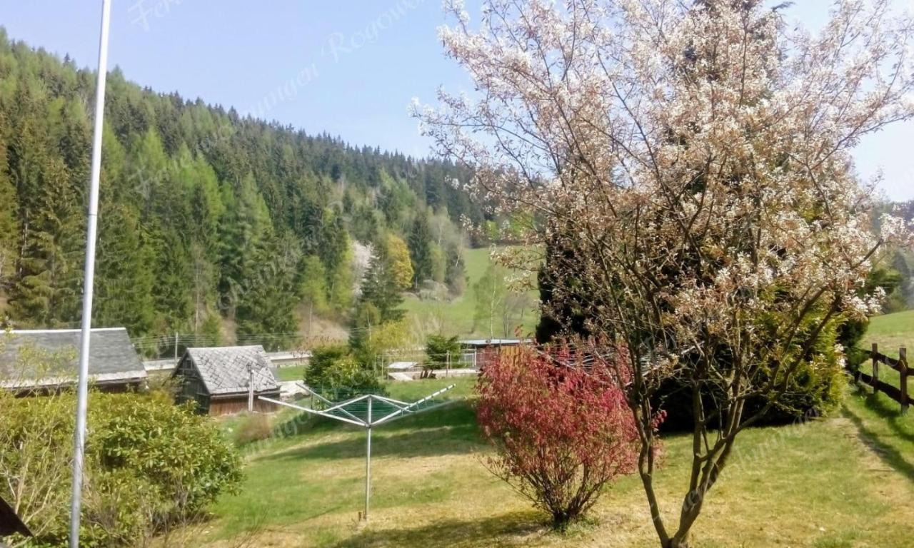 Appartement Rogowski
