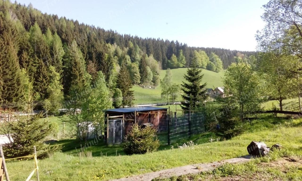 Rogowski Apartment *