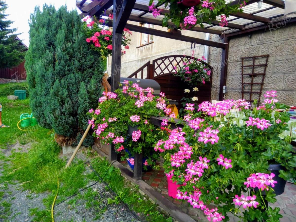Apartment Rogowski Breitenbrunn (Saxony)