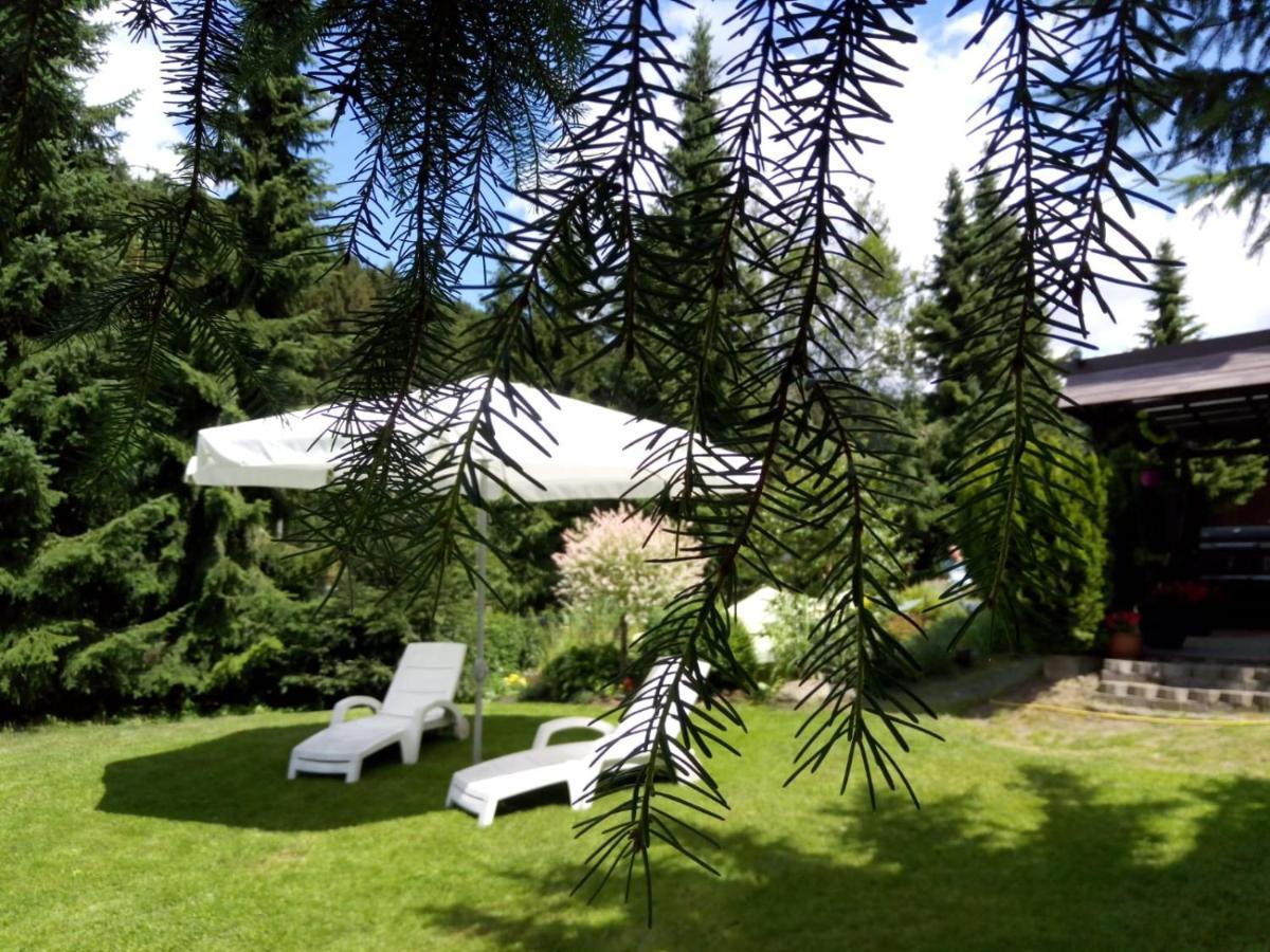 Rogowski Apartment Breitenbrunn (Saxony)